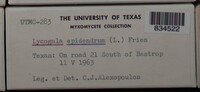 Image Associated With the Occurence